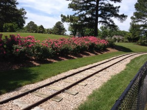 A miniature train named the Rotary Express provides children and adults rides through the beautiful Village Park in Kannapolis.